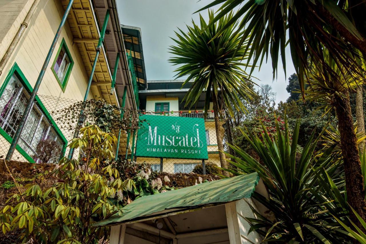 Muscatel Himalayan Resort - 400 Mts From Mall Road Dardzsiling Kültér fotó