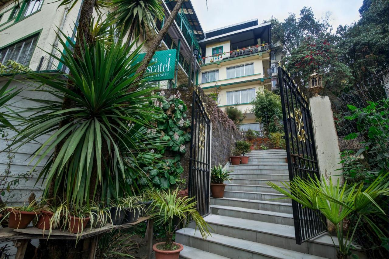Muscatel Himalayan Resort - 400 Mts From Mall Road Dardzsiling Kültér fotó