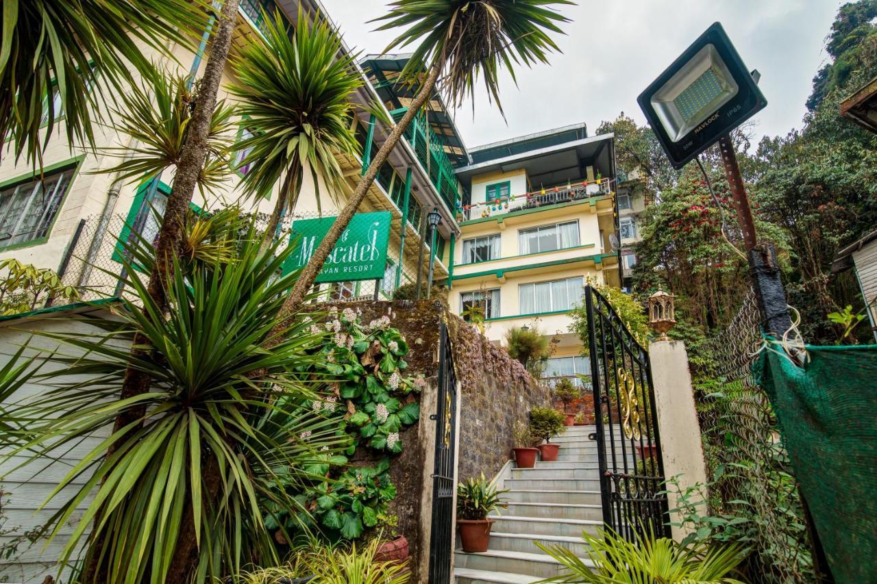 Muscatel Himalayan Resort - 400 Mts From Mall Road Dardzsiling Kültér fotó